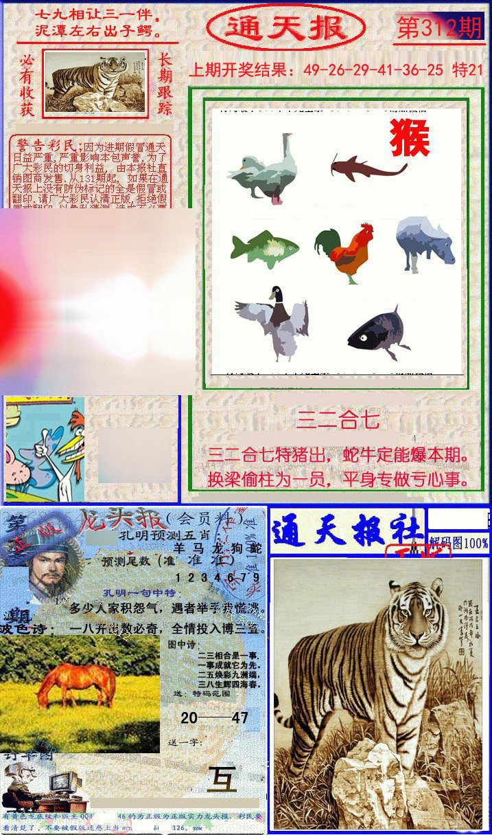 2024312期实力通天报