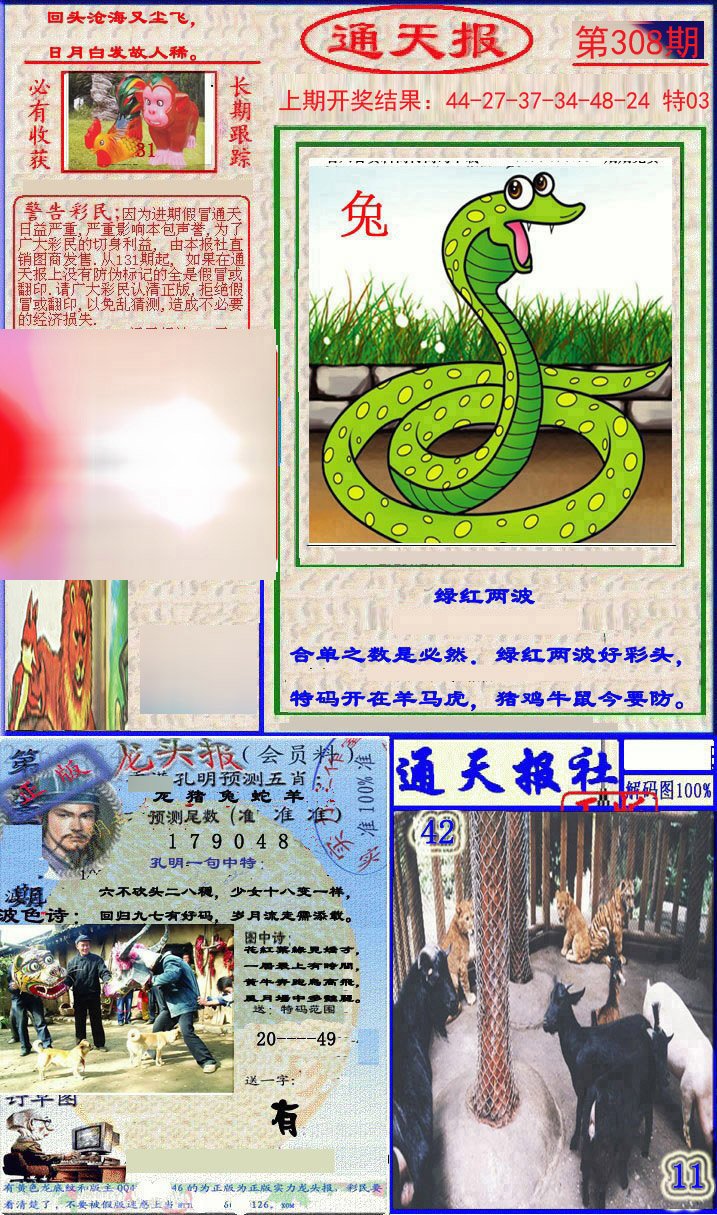 2024308期实力通天报
