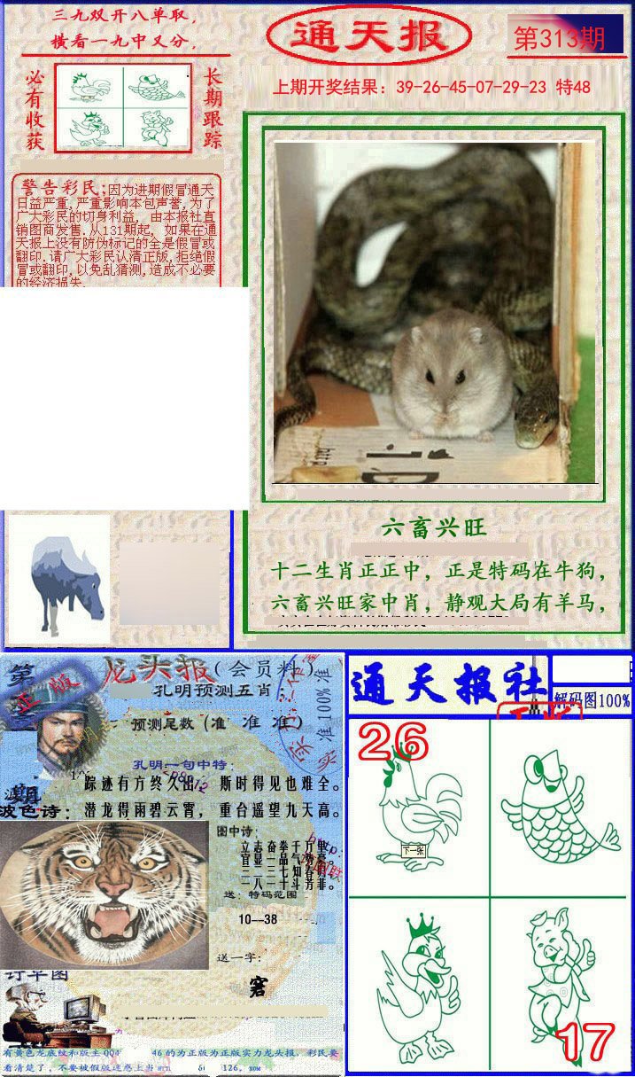2024313期实力通天报