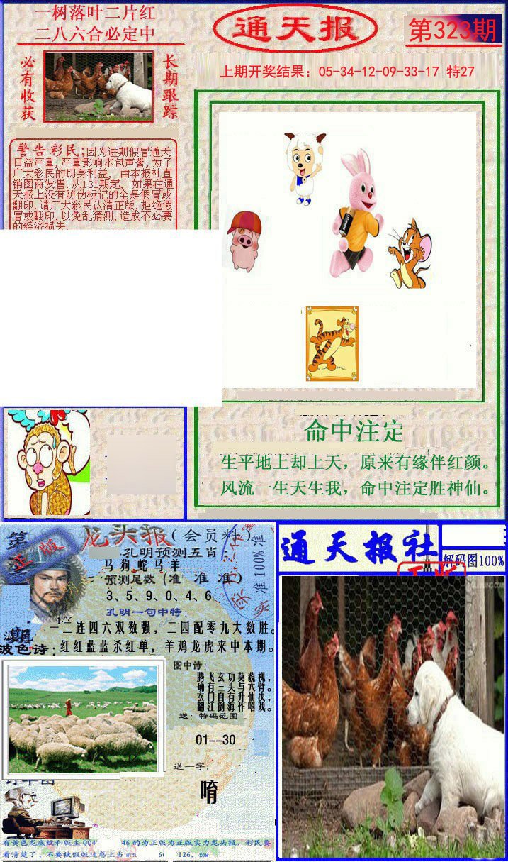 2024323期实力通天报