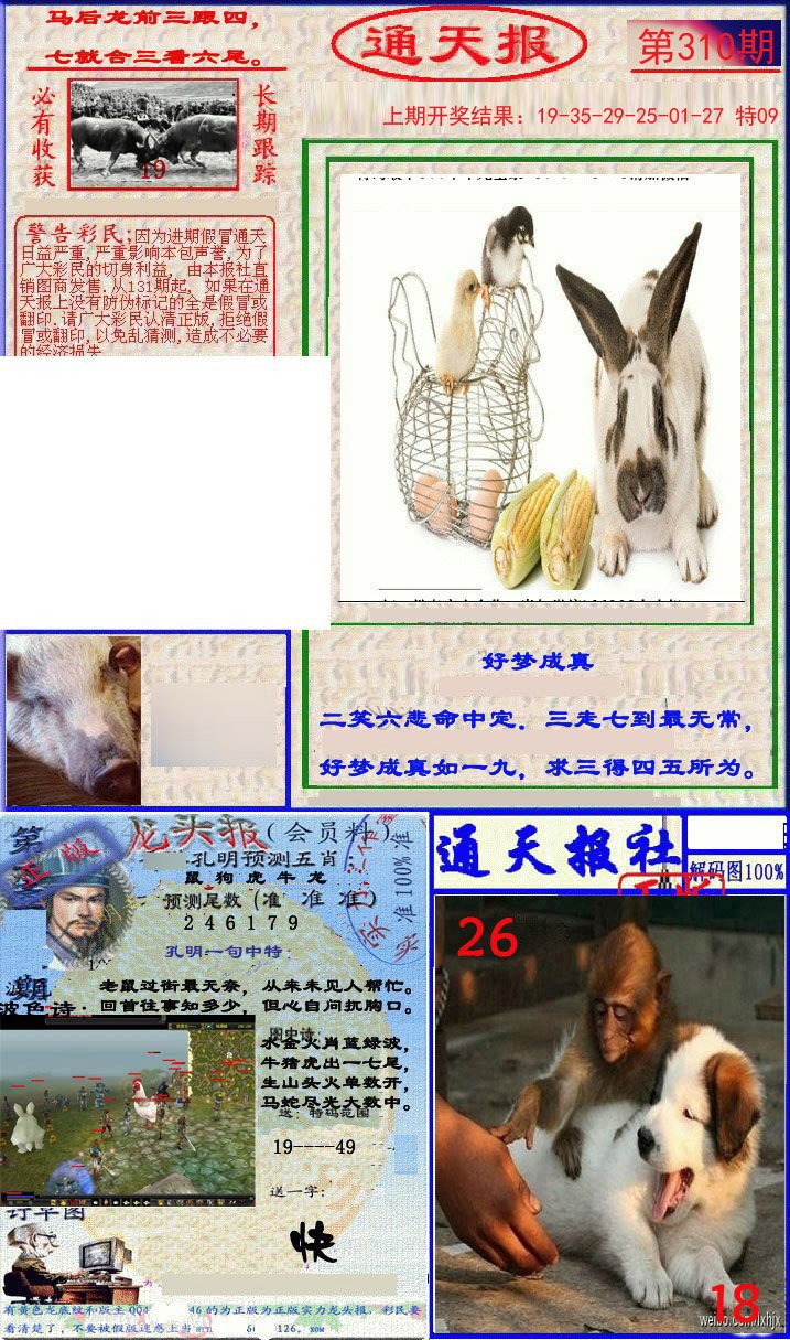 2024310期实力通天报