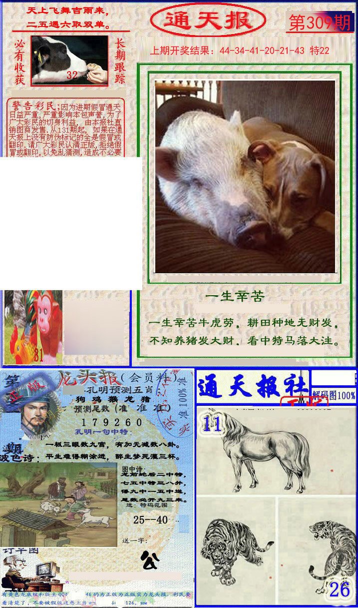 2024309期实力通天报