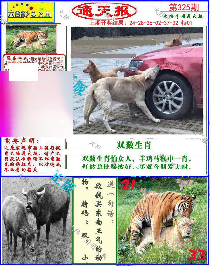 2024325期大陆通天报