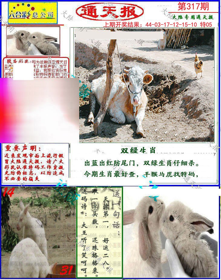 2024317期大陆通天报