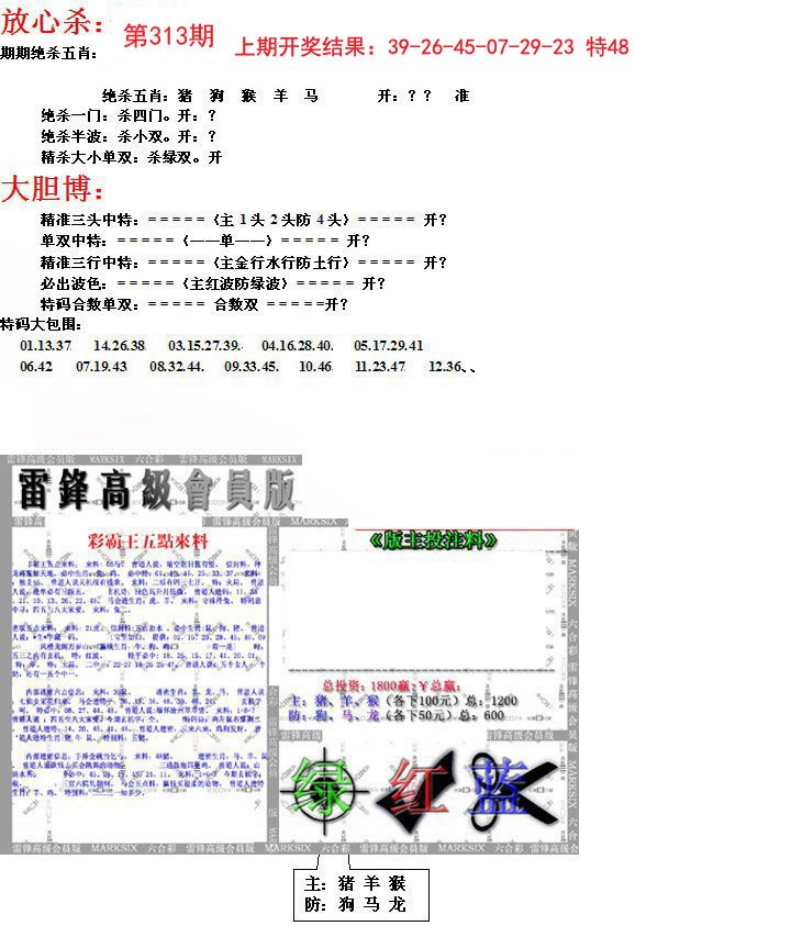 2024313期帮您翻本B