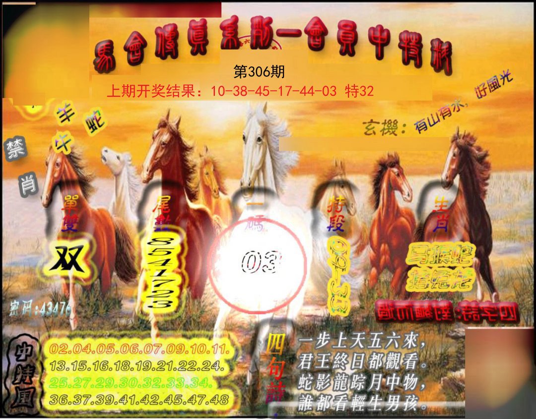 2024306期马会传真-会员报
