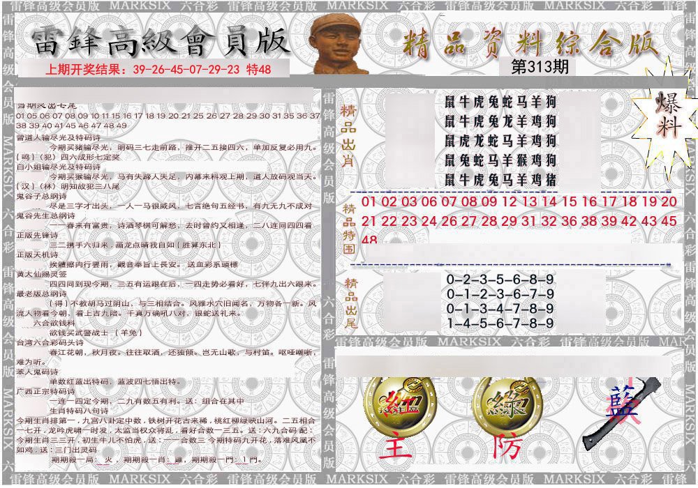 2024313期雷锋资料综合版