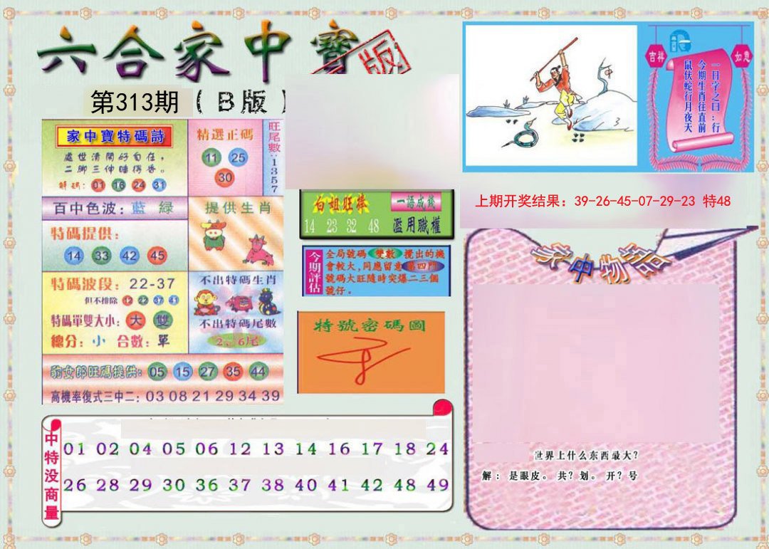 2024313期六合家中宝B