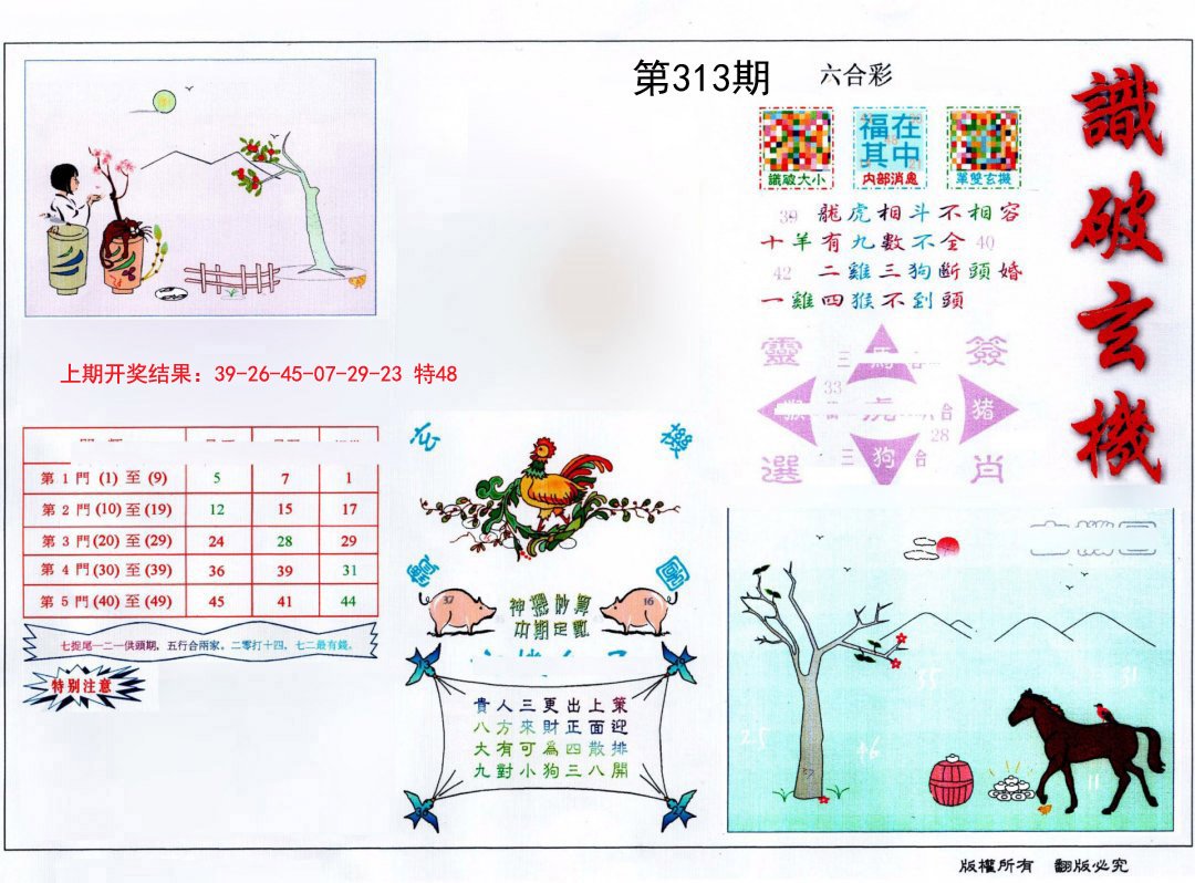 2024313期识破玄机