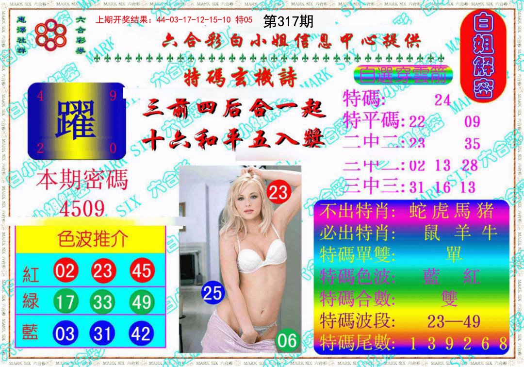 2024317期白姐解密《另版》