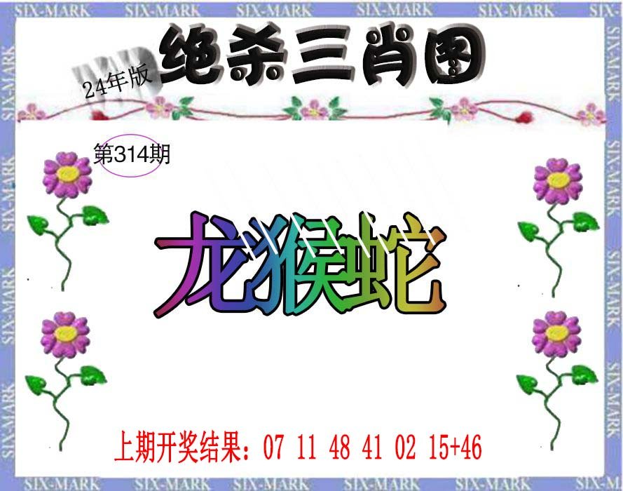 2024314期生财有道杀三肖