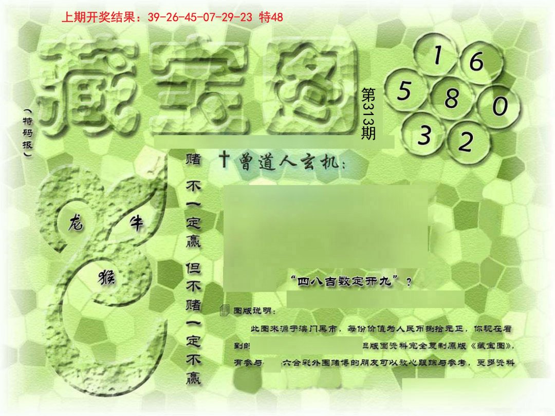 2024313期假新藏宝图