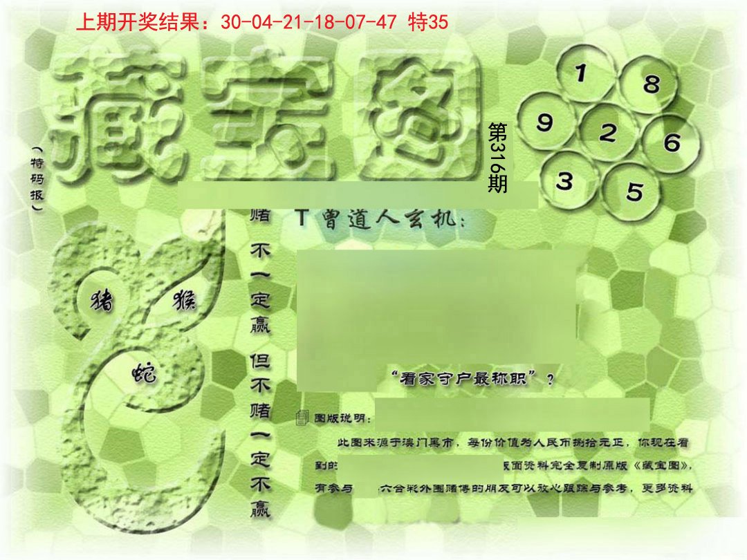 2024316期假新藏宝图
