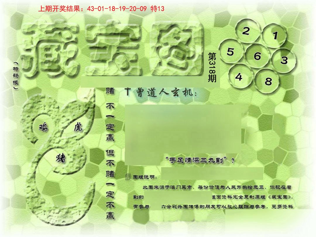 2024318期假新藏宝图