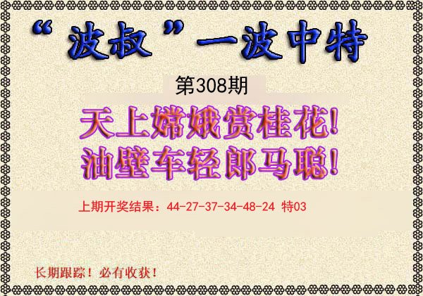 2024308期波叔一波中特