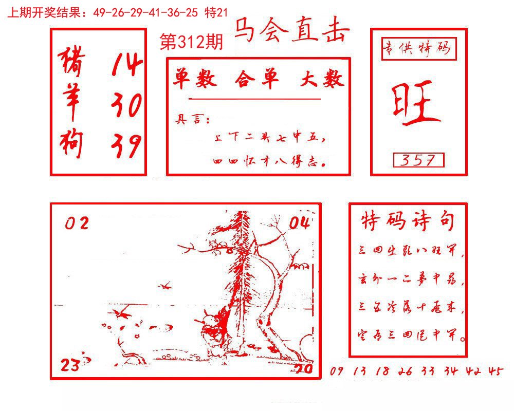2024312期马会直击