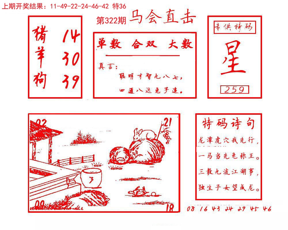 2024322期马会直击
