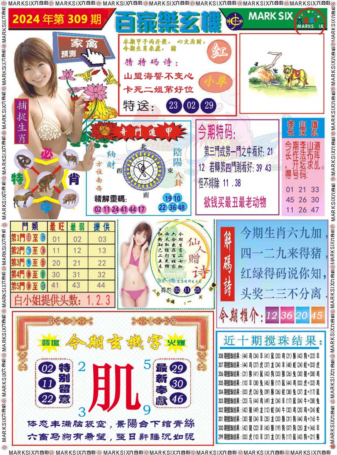 2024309期百家乐玄机