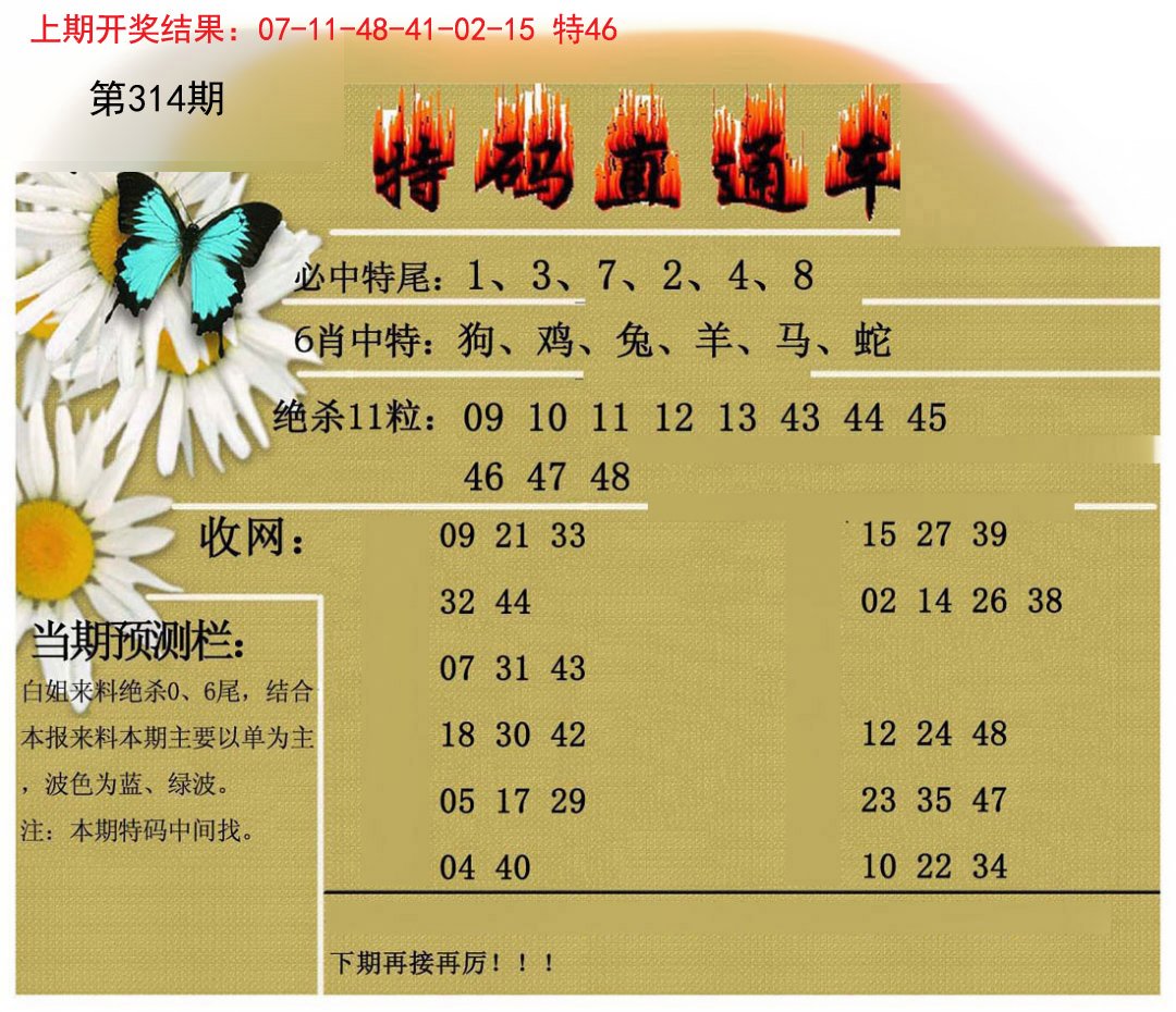 2024314期特码直通车