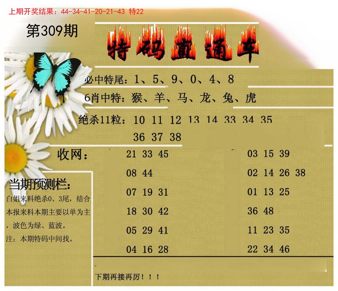 2024309期特码直通车