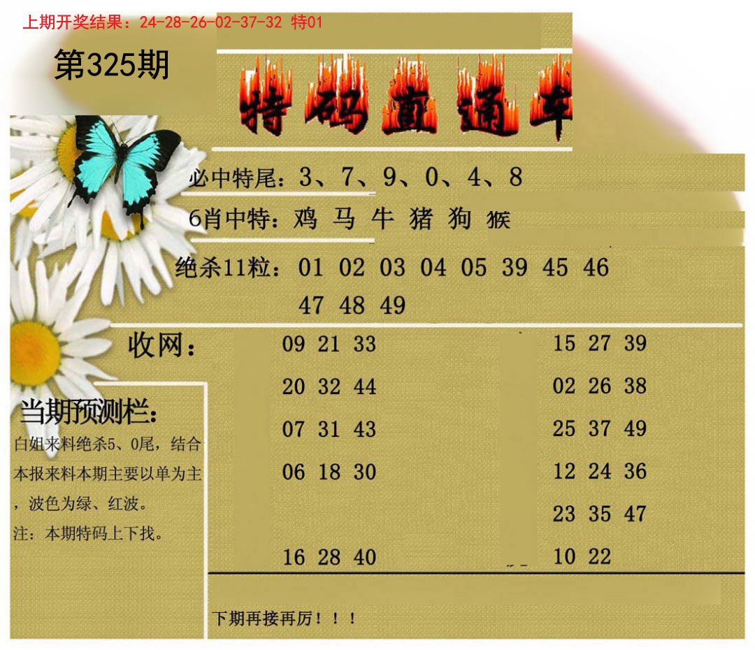 2024325期特码直通车