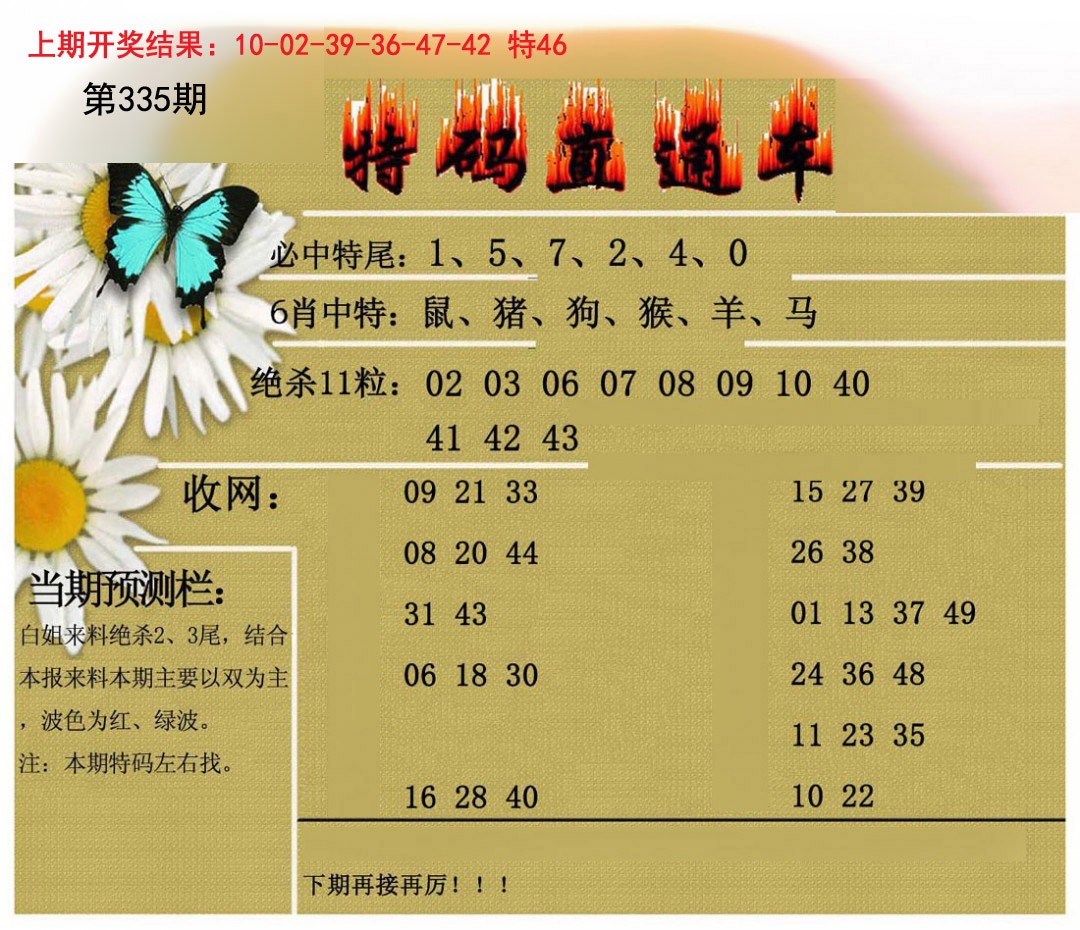 2024335期特码直通车