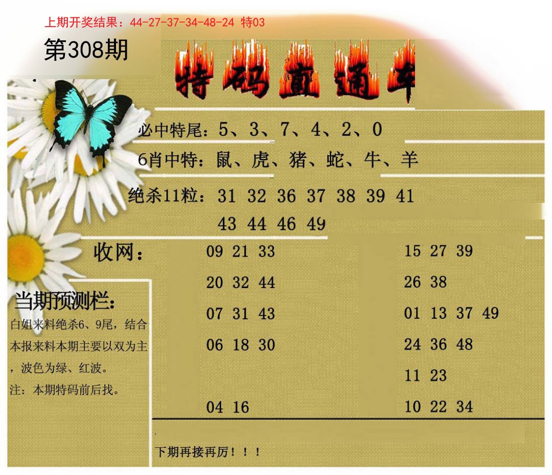 2024308期特码直通车
