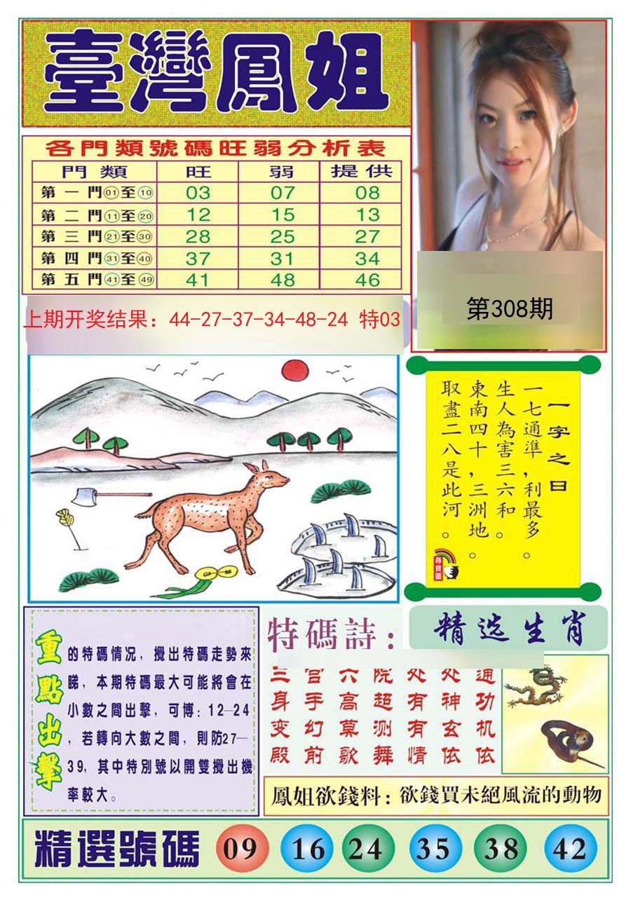 2024308期台湾凤姐