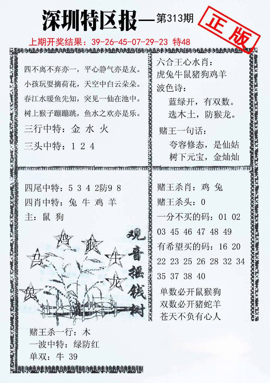 2024313期深圳特区报A