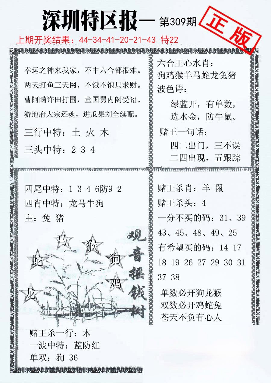 2024309期深圳特区报A