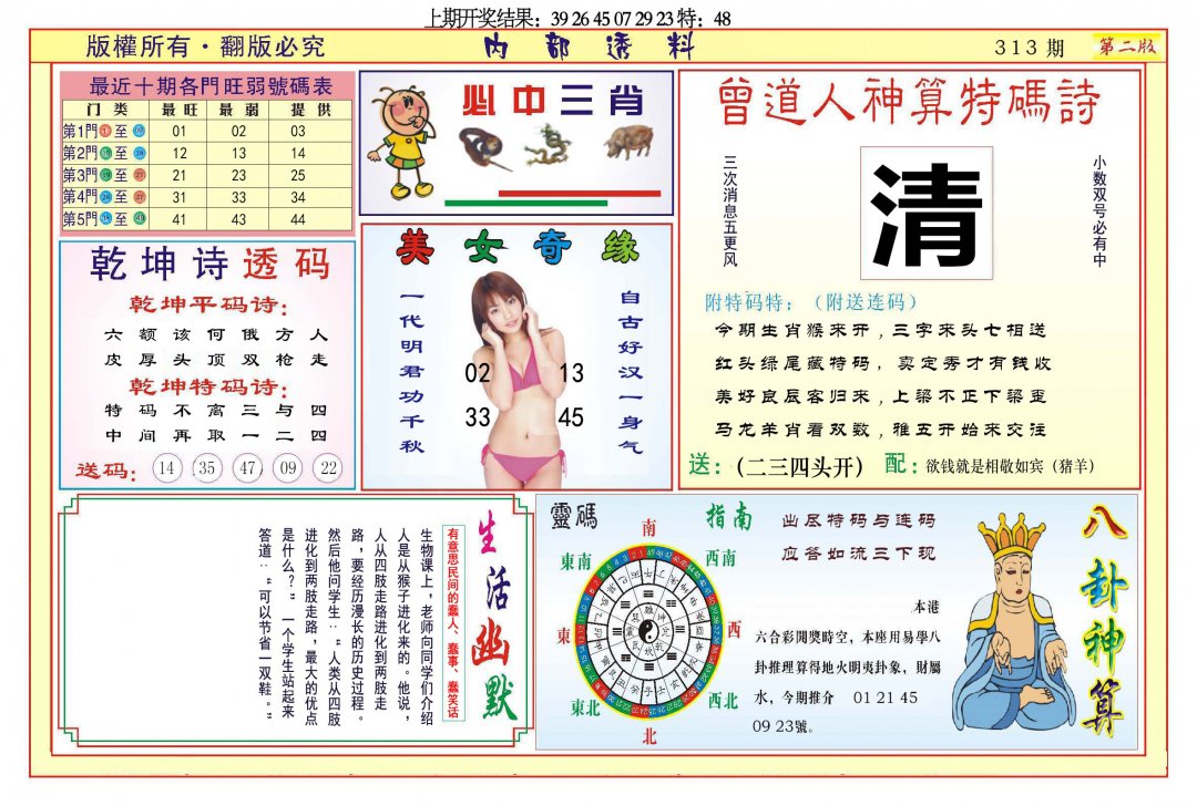 2024313期内部透料B