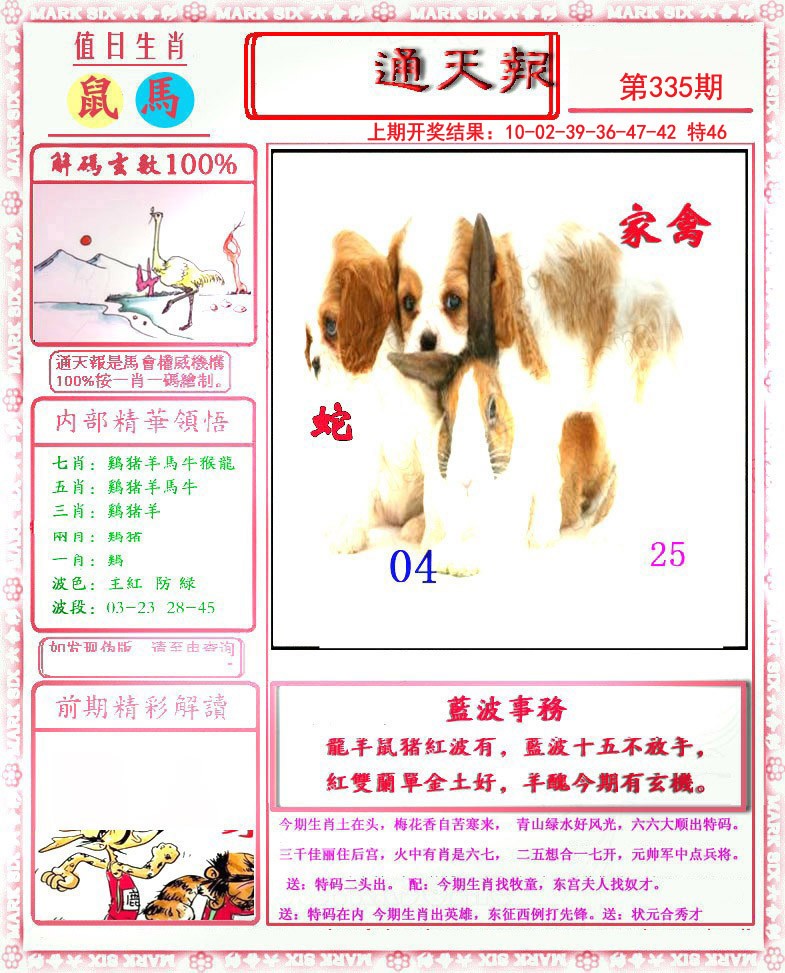 2024335期小喜通天报