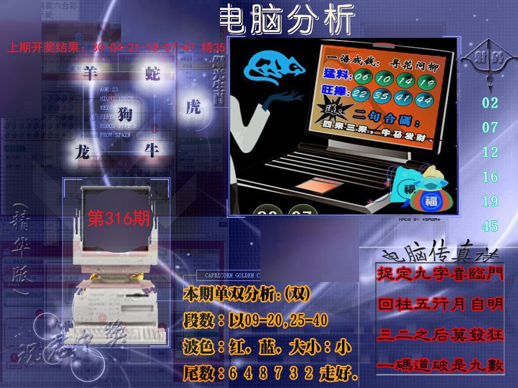 2024316期正版电脑分析贴士報