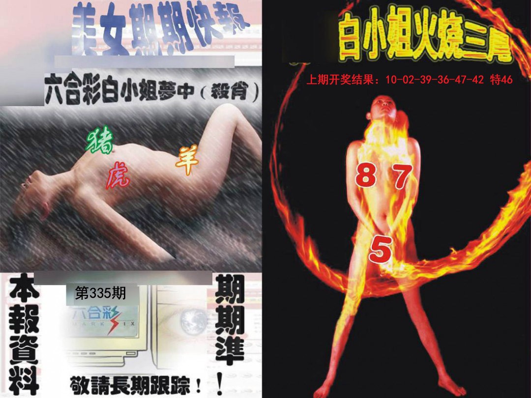 2024335期环球美女特码报