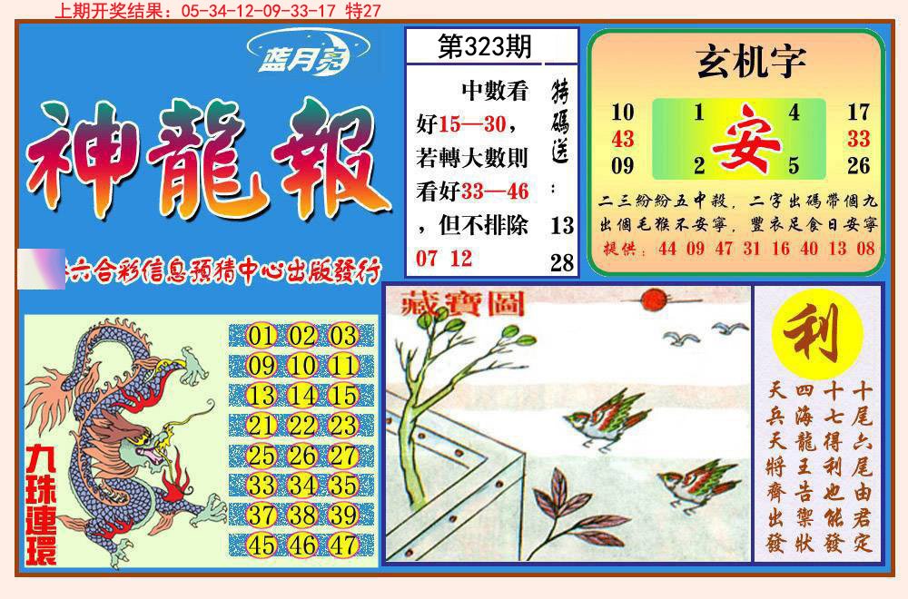 2024323期神龙报