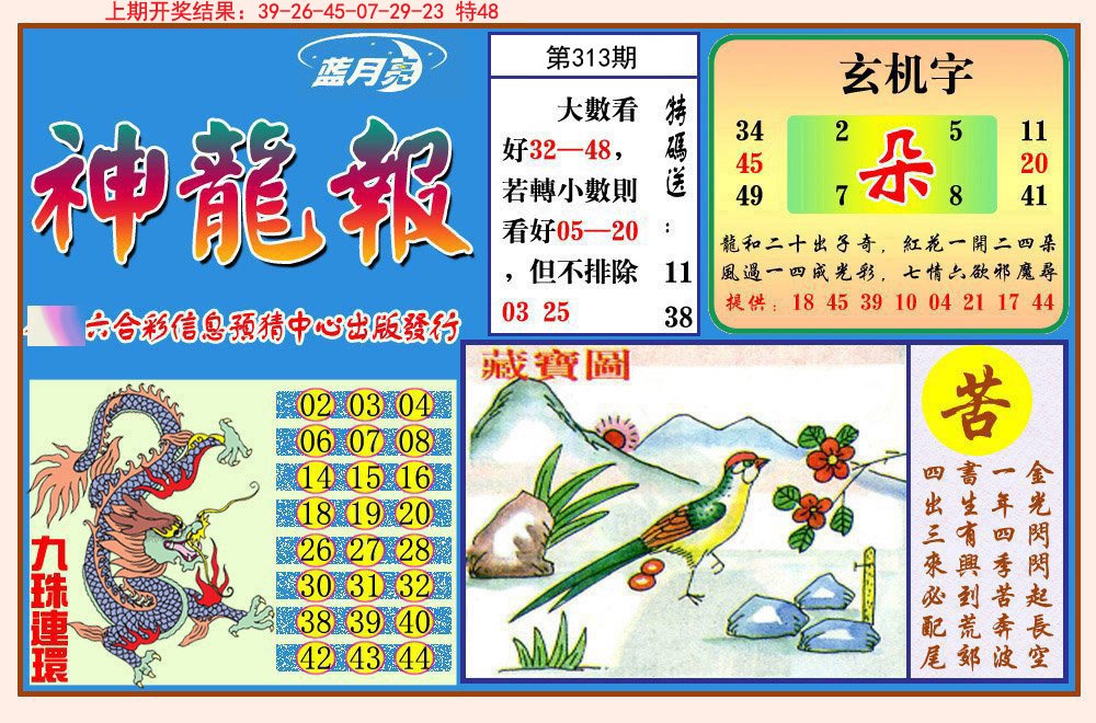 2024313期神龙报