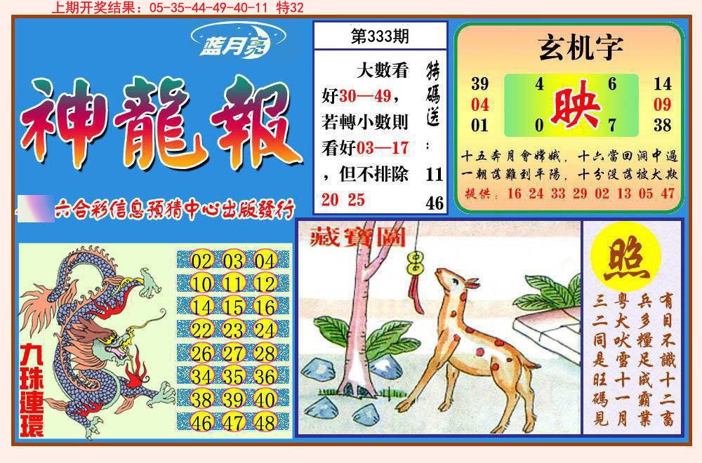 2024333期神龙报