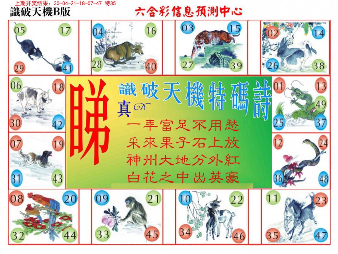 2024316期识破天机B版