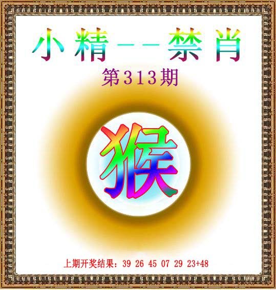 2024313期小精禁肖