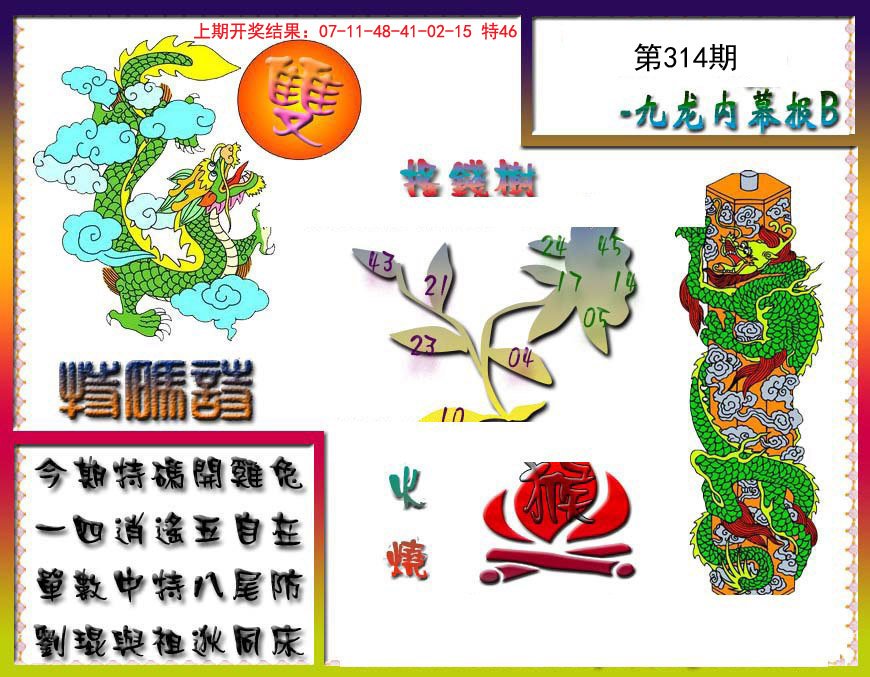 2024314期九龙内幕特肖图a