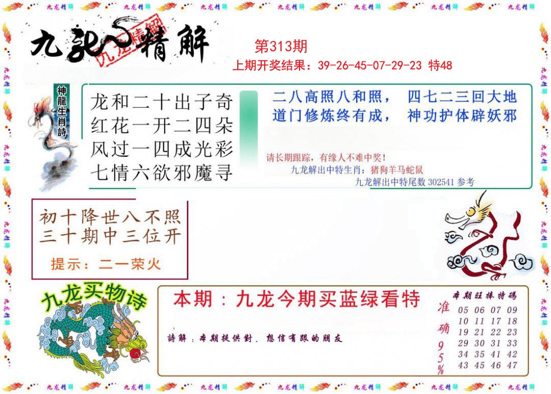 2024313期九龙精解