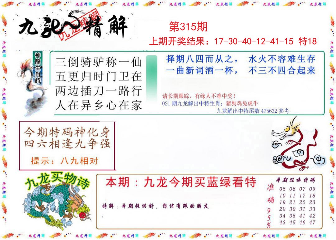 2024315期九龙精解