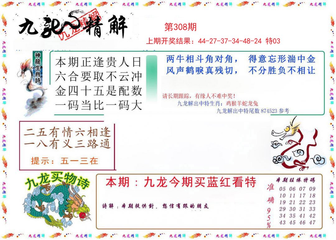 2024308期九龙精解