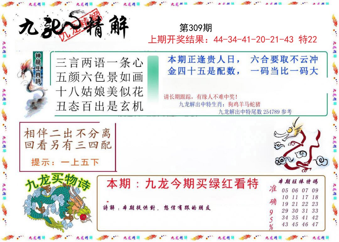 2024309期九龙精解