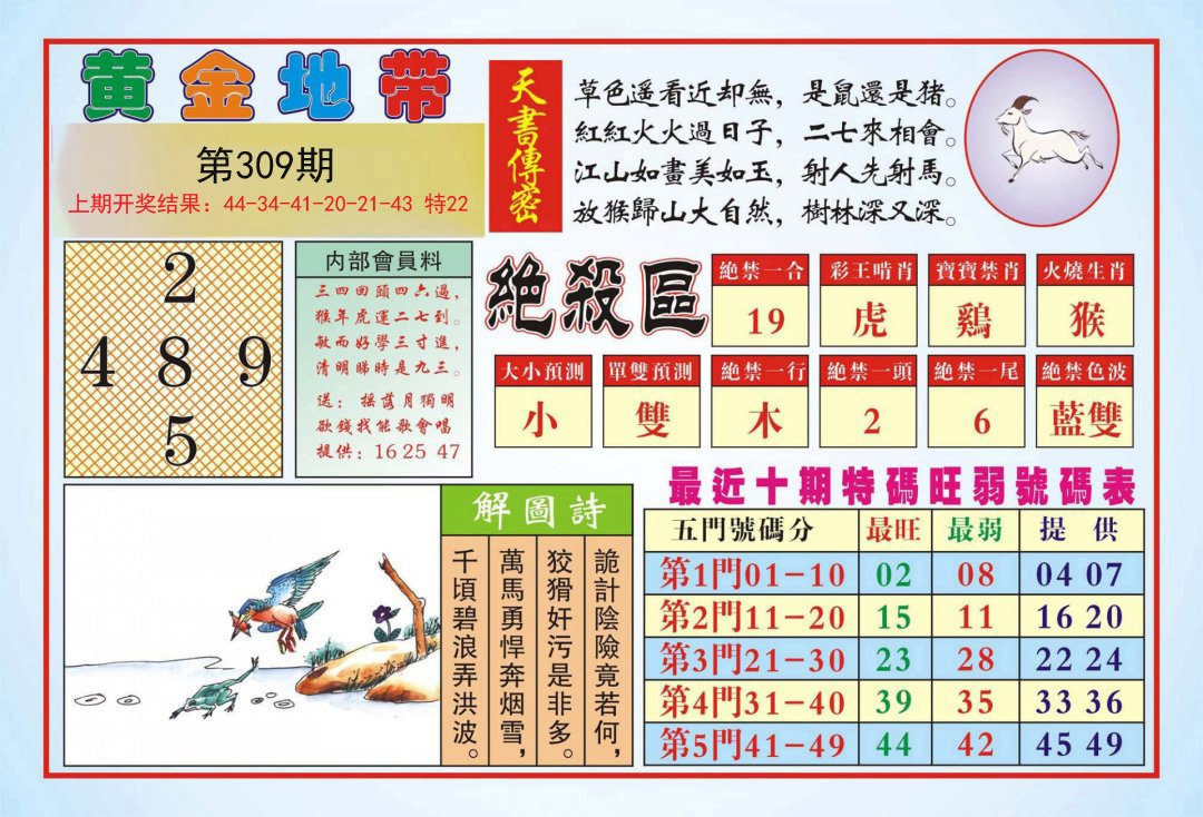 2024309期黄金地带