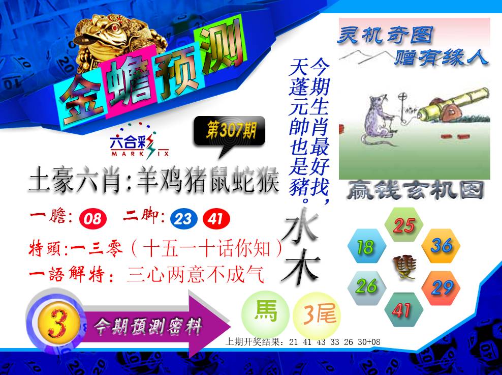2024307期金蟾预测