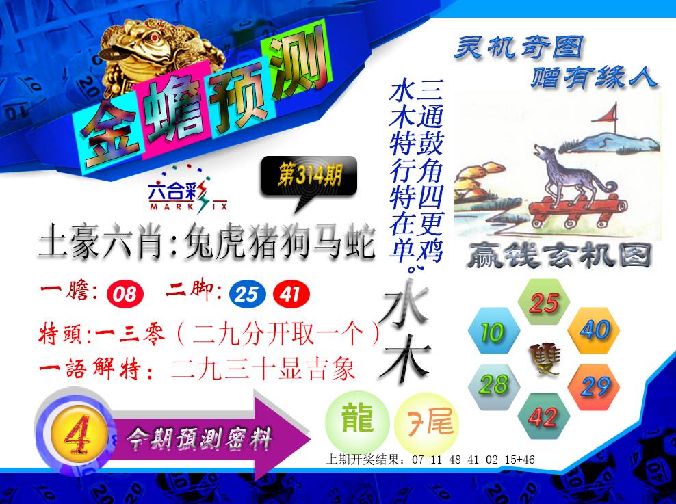 2024314期金蟾预测