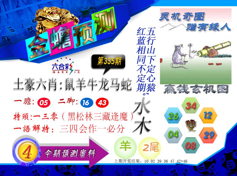 2024335期金蟾预测