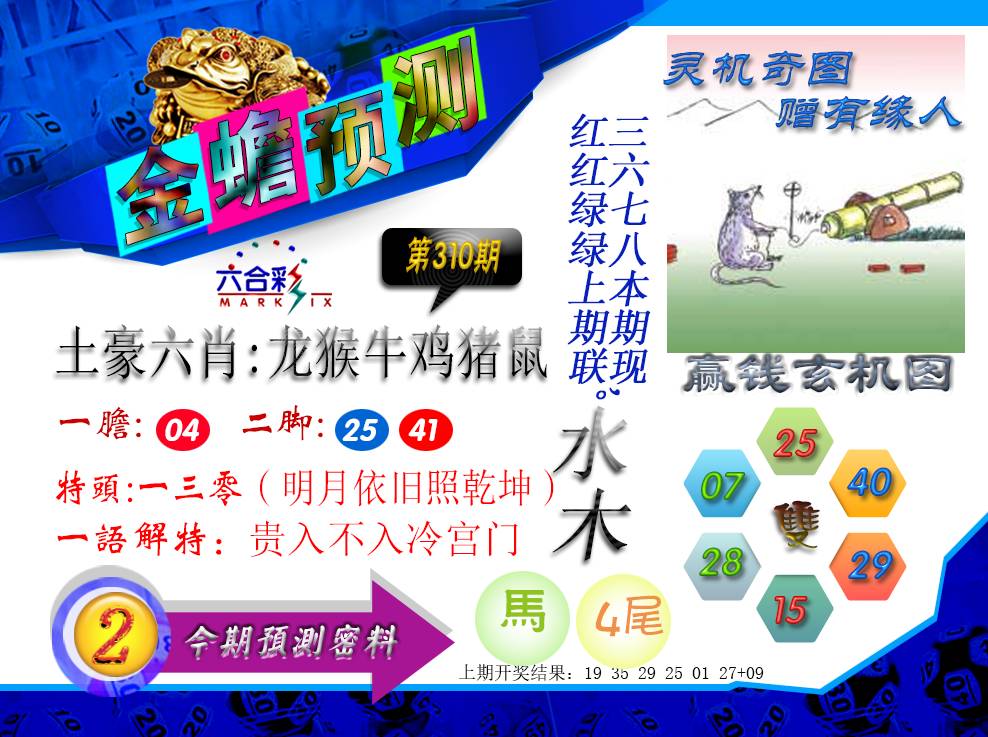 2024310期金蟾预测