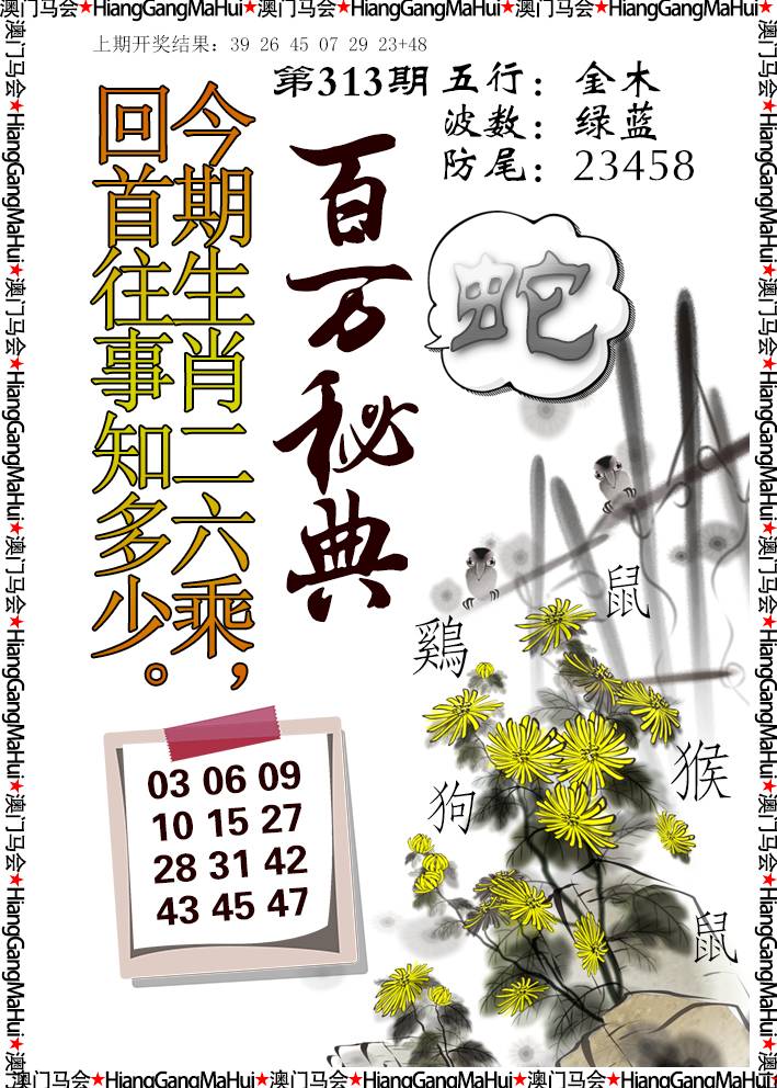 2024313期百万秘典